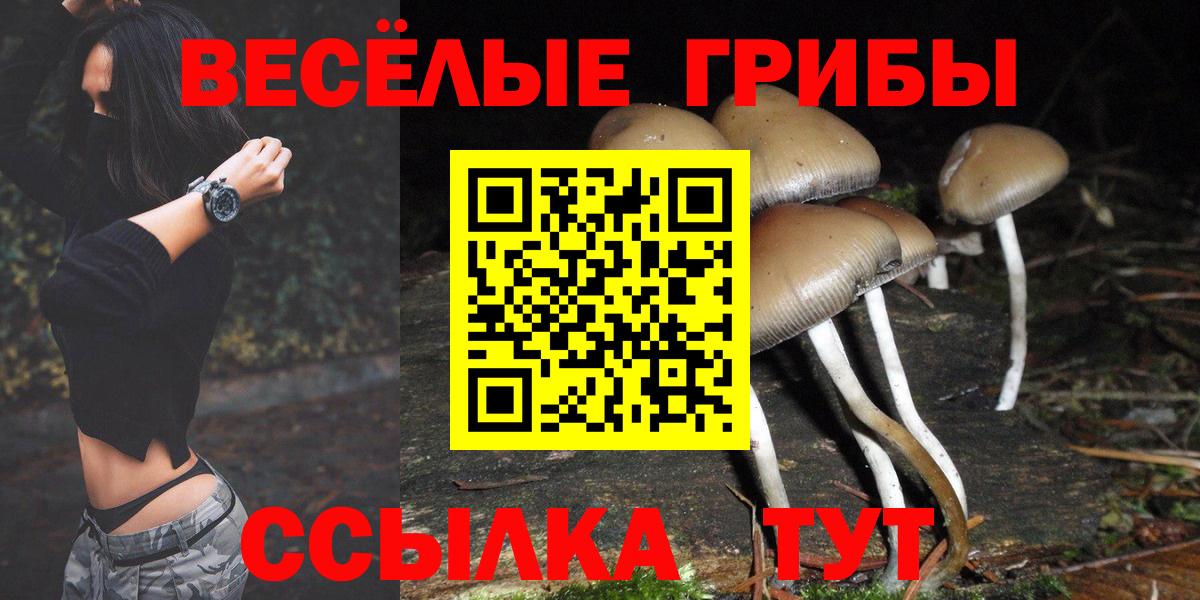 Псилоцибиновые грибы GOLDEN TEACHER Губкинский